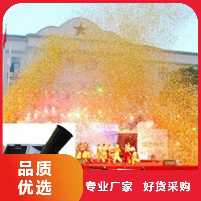 启动道具租赁-鲜花罗马柱租赁保障产品质量