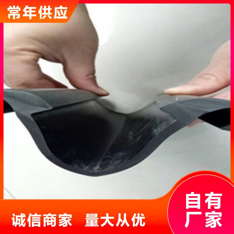 桥梁伸缩缝胶条更换施工队伍