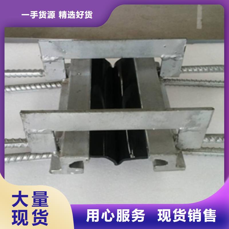 桥梁伸缩缝胶条更换施工队伍