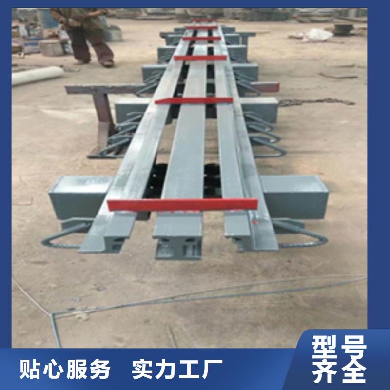 公路桥梁伸缩缝F型