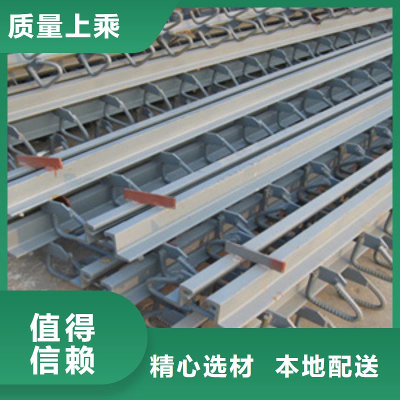 桥梁tst伸缩缝规格型号全生产厂家