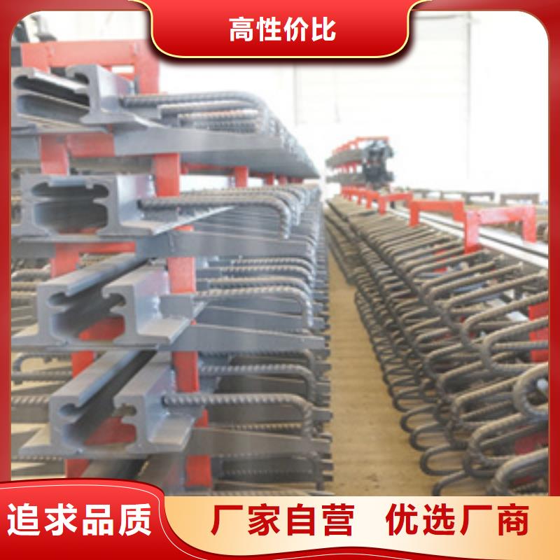 公路桥梁伸缩缝定制