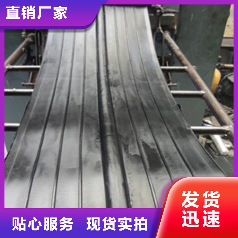 背贴式橡胶止水带水利工程用