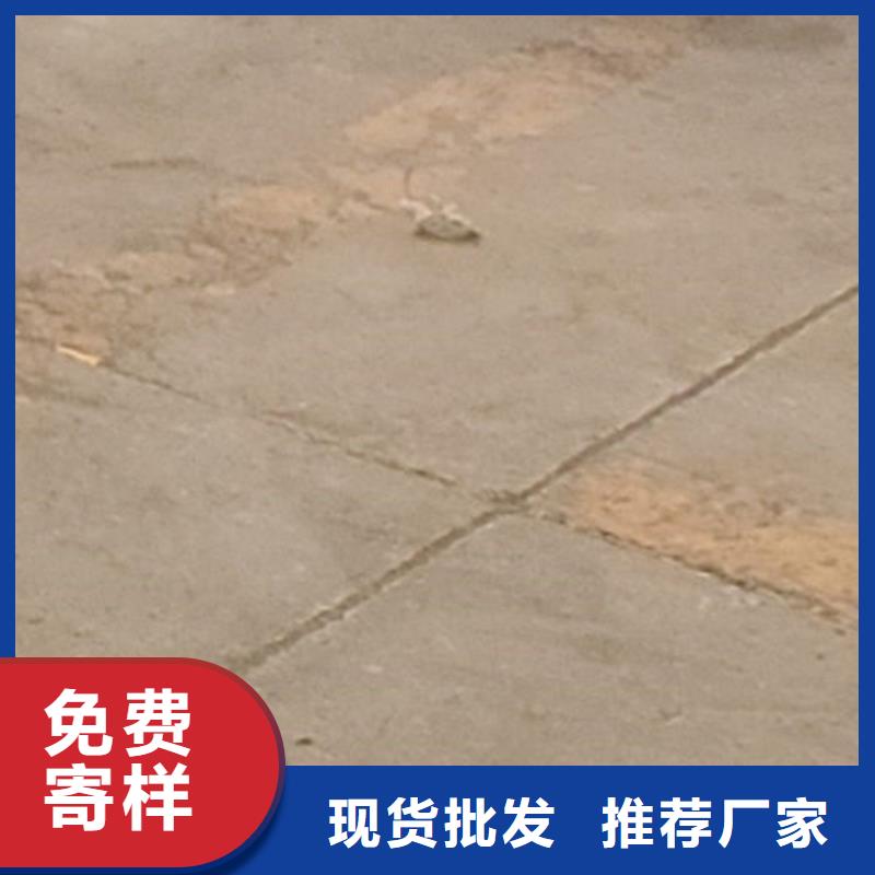 供应高铁不锈钢护栏_诚信厂家