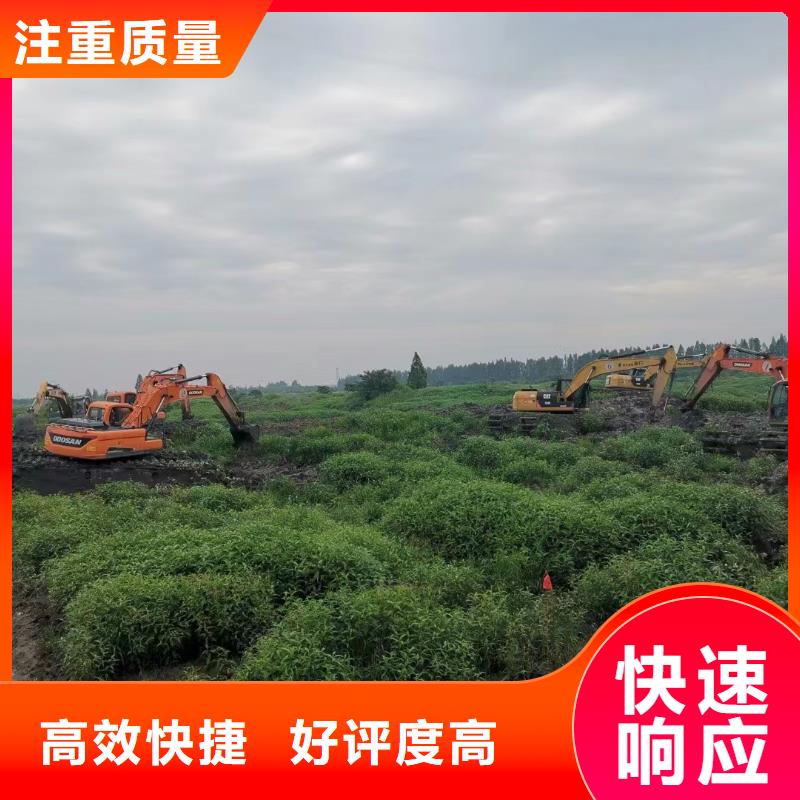 【水陆挖掘机】【水上两用挖掘机出租】实力团队