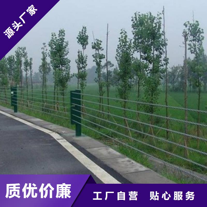 钢丝绳护栏-锌钢护栏好产品价格低