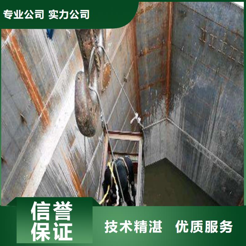 水下打捞水下探测仪技术精湛