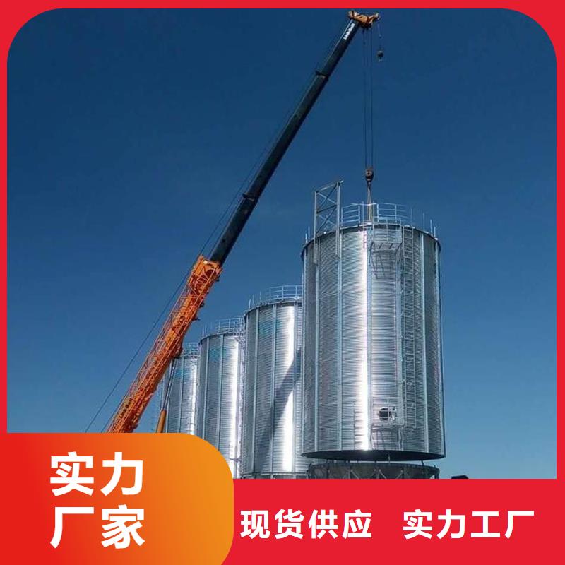 黄豆立筒仓安装