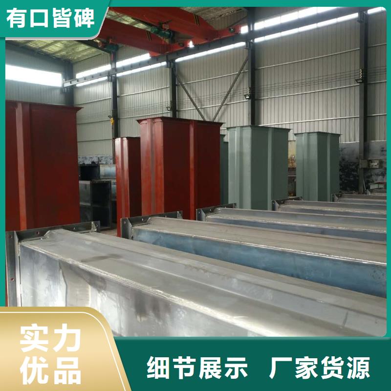 NE100链板斗式机现货充足