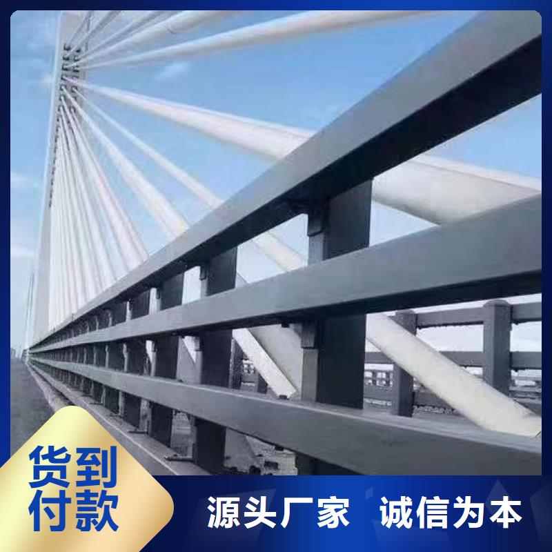 【河道护栏-不锈钢栏杆实拍展现】