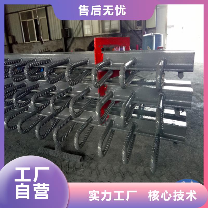 定制GQF-D60模数式伸缩缝的批发商