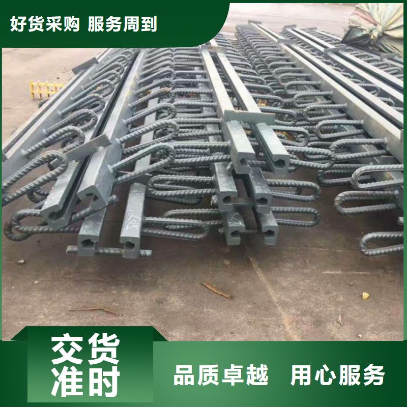 定制GQF-D60模数式伸缩缝的批发商