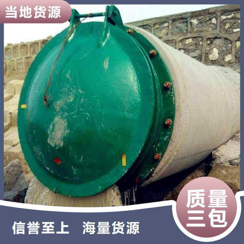 铸铁闸门 拦污栅保障