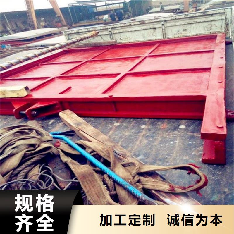 铸铁闸门 拦污栅保障