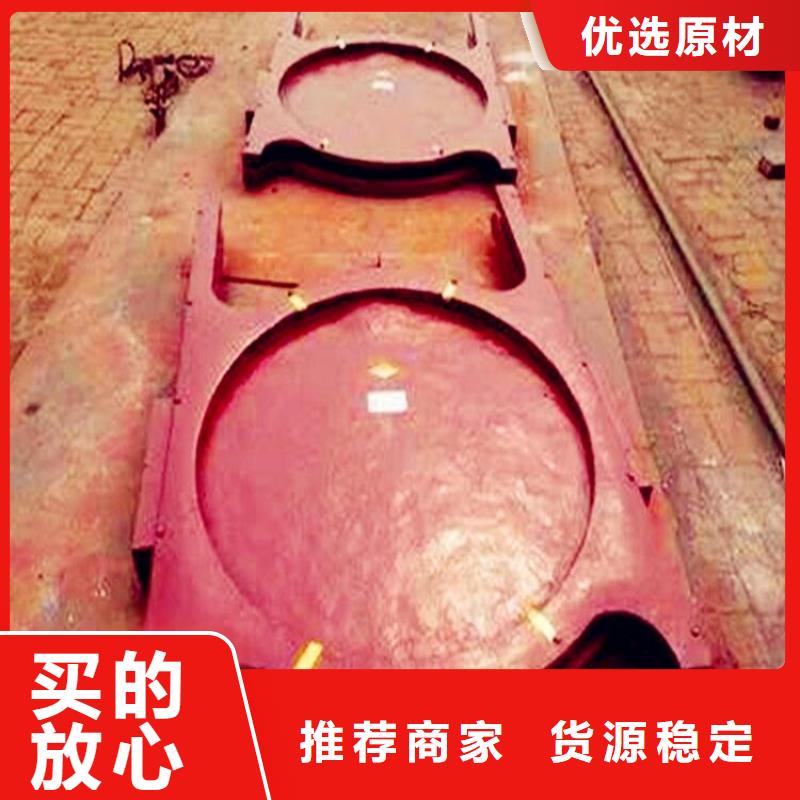 铸铁闸门 拦污栅保障