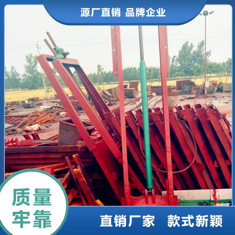 铸铁闸门抓斗清污机厂家