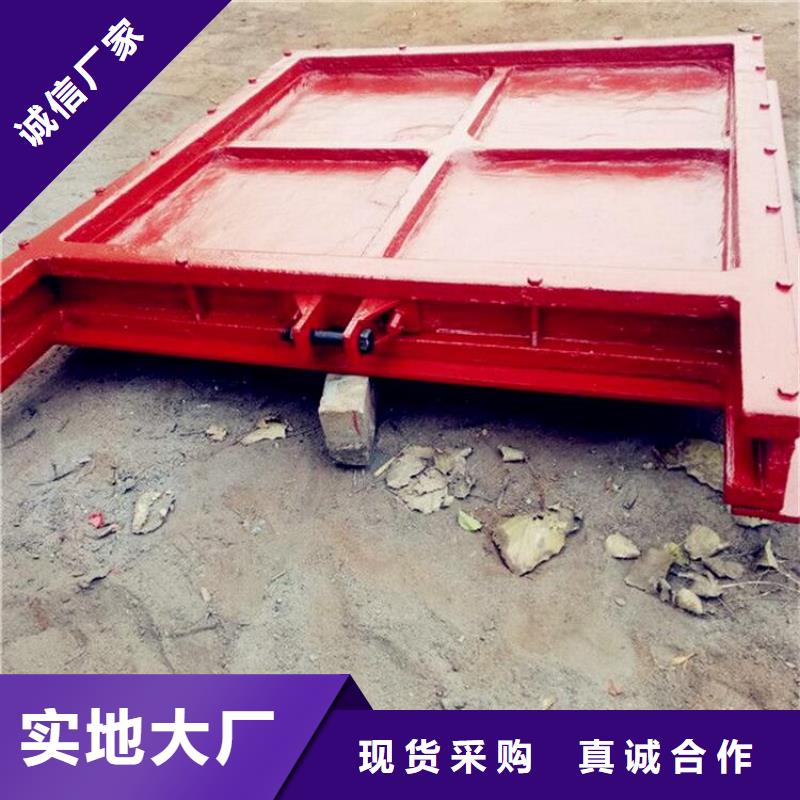 铸铁闸门抓斗清污机厂家