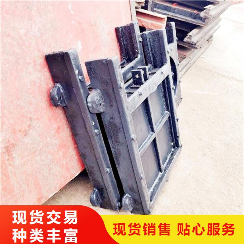 铸铁闸门 拦污栅保障