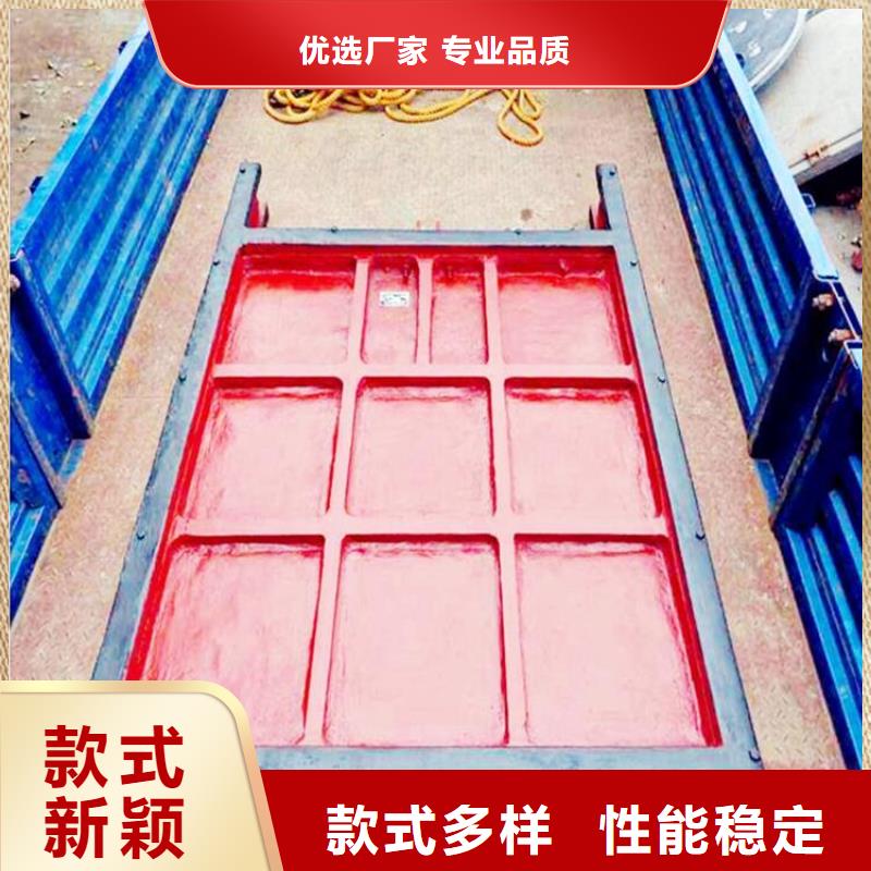 铸铁闸门 钢制拍门厂家源头厂家量大价优