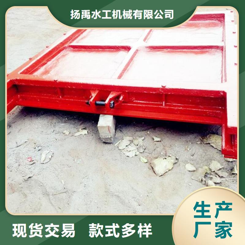 铸铁闸门钢制拍门厂家畅销本地