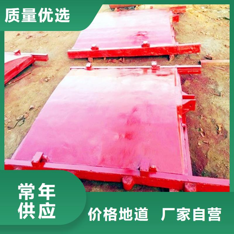 铸铁闸门,启闭机多种规格供您选择