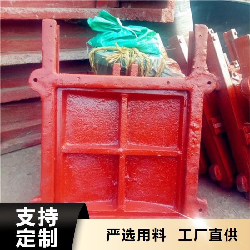 铸铁闸门抓斗清污机厂家