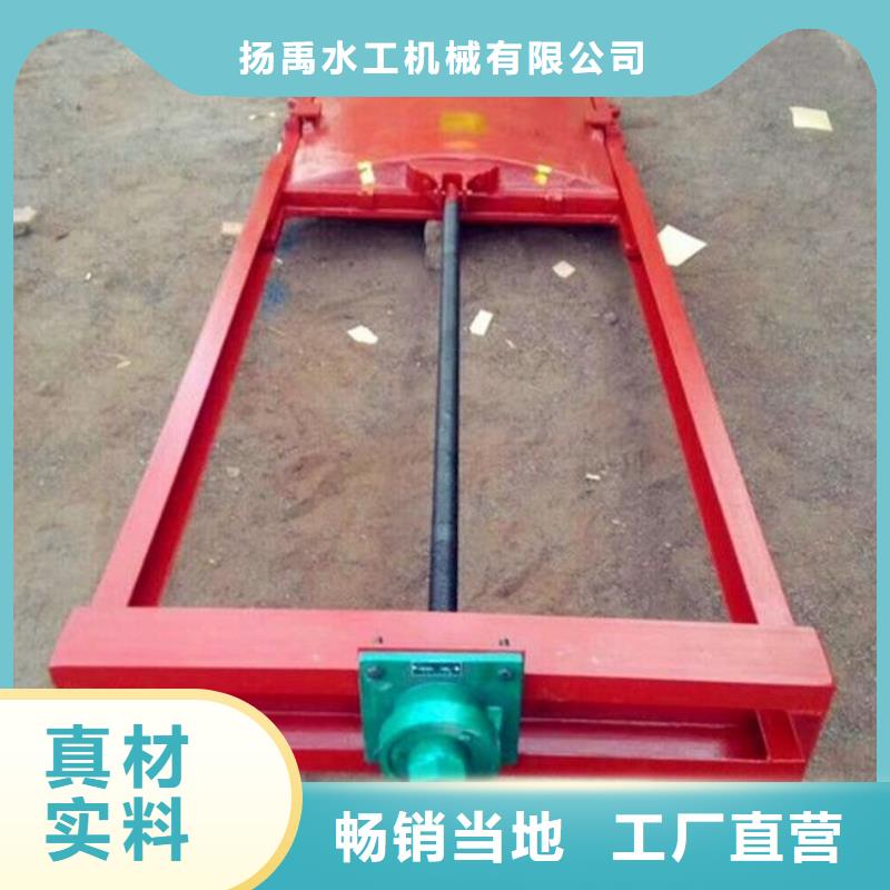 铸铁闸门 拦污栅保障