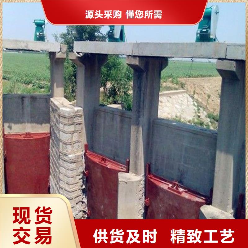 铸铁闸门 拦污栅保障