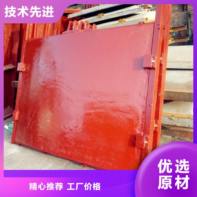 铸铁闸门 拦污栅保障