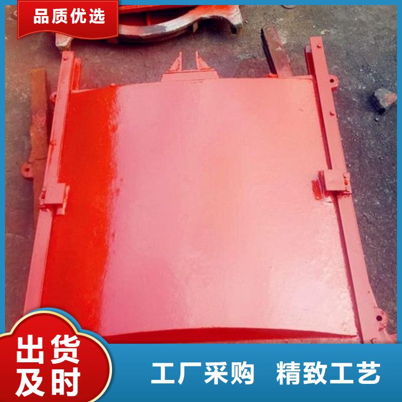铸铁闸门 拦污栅保障