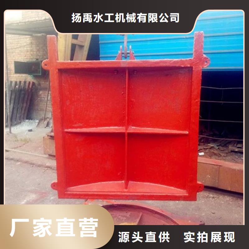 铸铁闸门抓斗清污机厂家