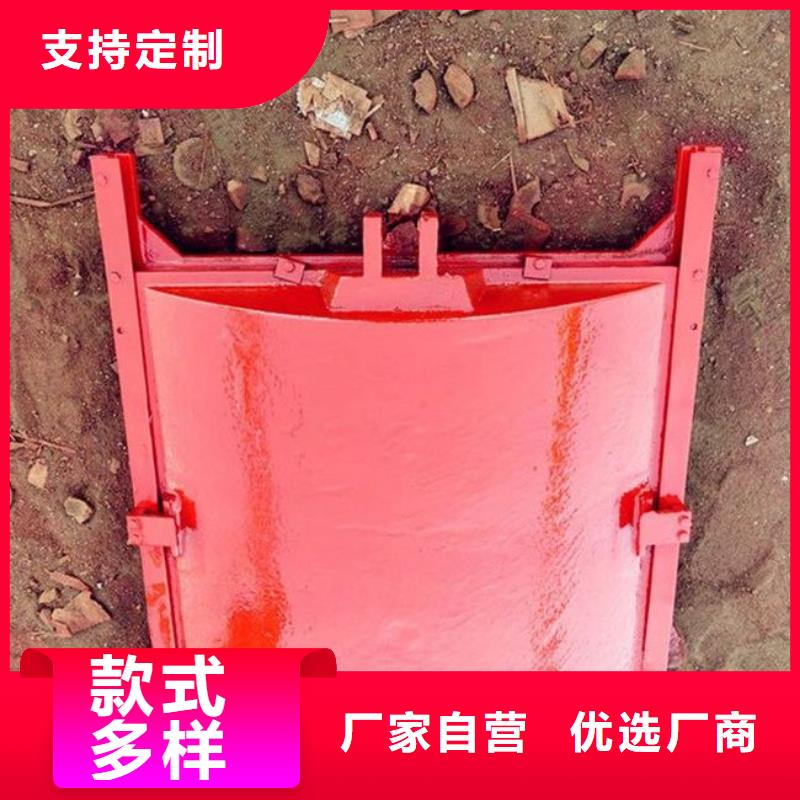 铸铁闸门 拦污栅保障
