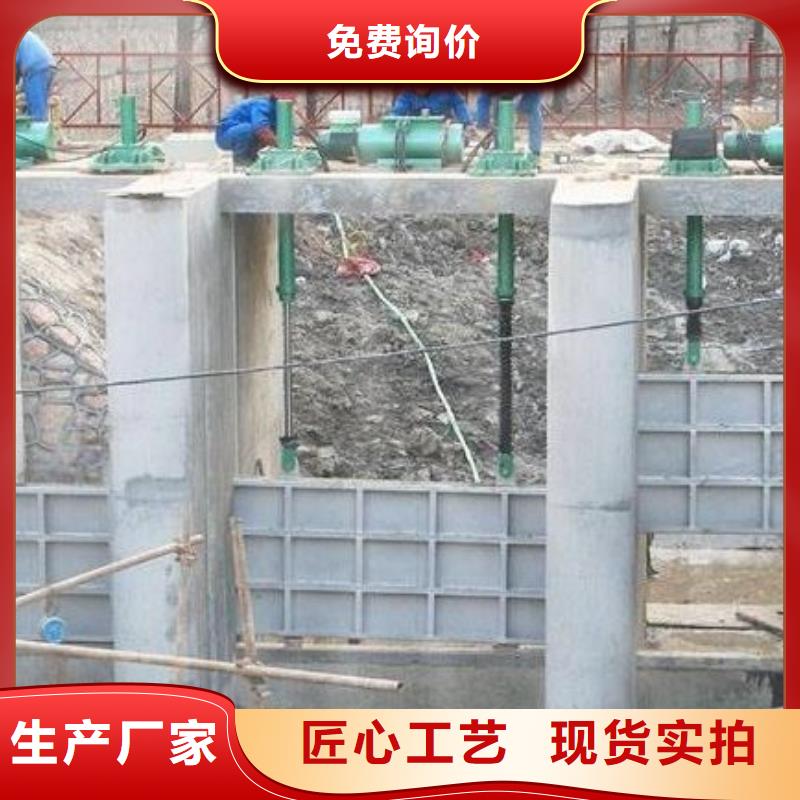 螺杆启闭机 铸铁闸门实力见证