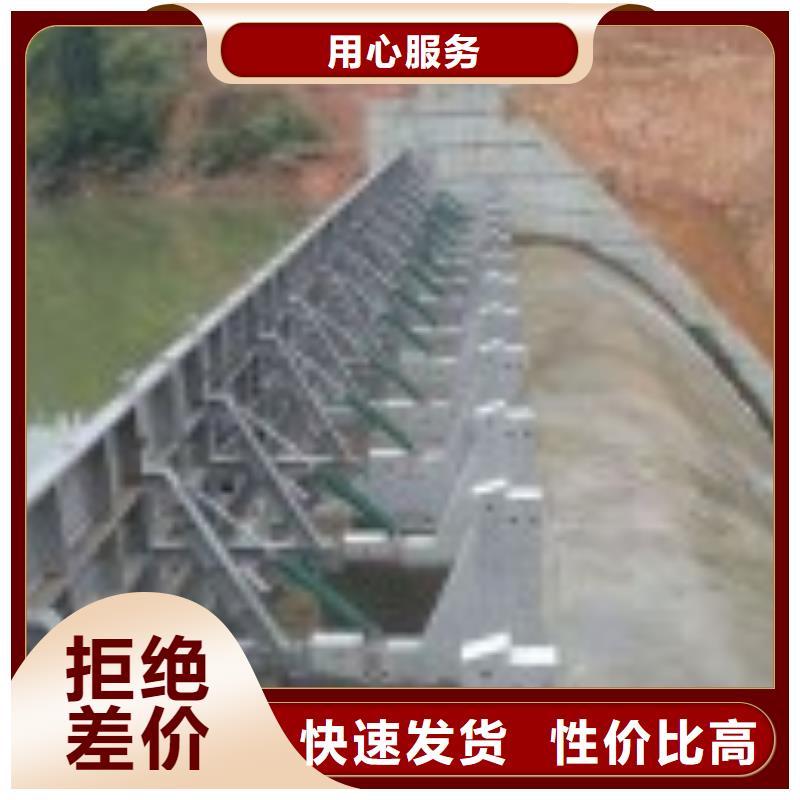平面钢制闸门中心