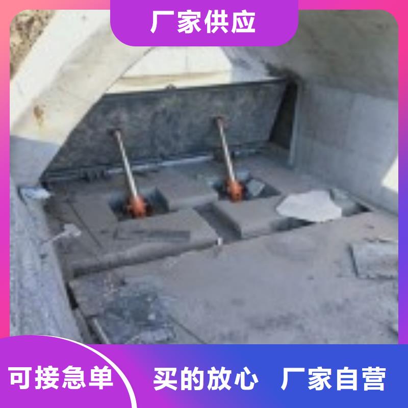 翻板闸门液压启闭机优选厂家