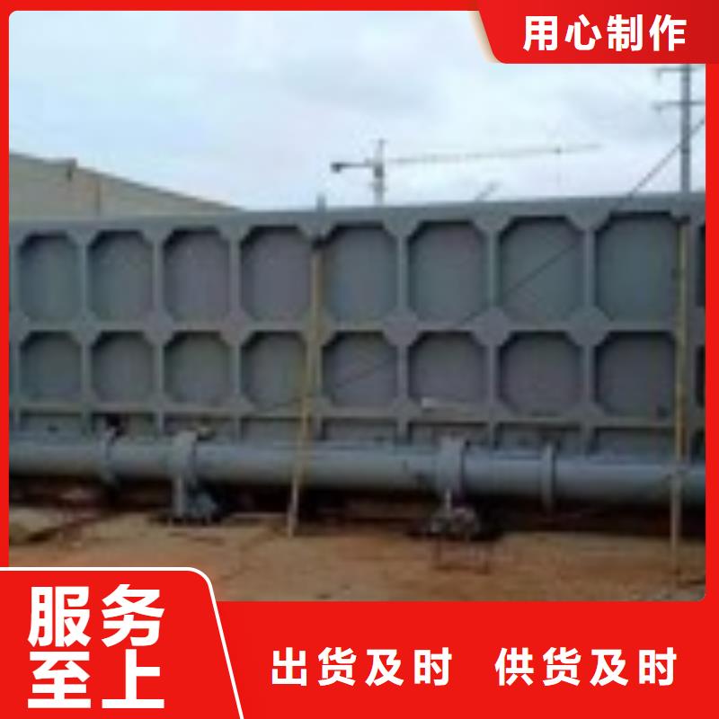 翻板闸门不锈钢拍门免费安装