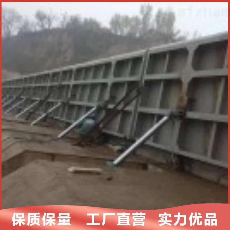 【翻板闸门】 不锈钢拍门快速生产