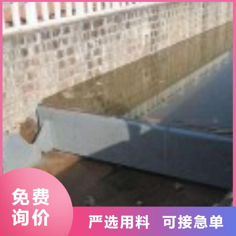 翻板闸门不锈钢拍门免费安装
