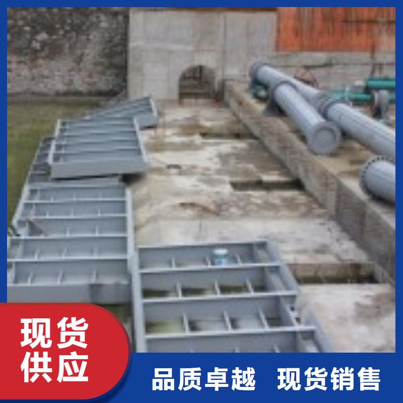 翻板闸门不锈钢闸门实地大厂