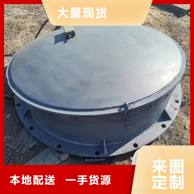 拍门,钢制闸门实体厂家支持定制
