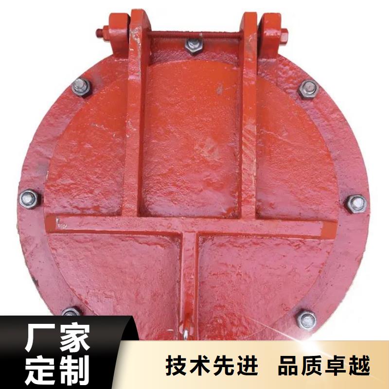 拍门,卷扬启闭机匠心制造