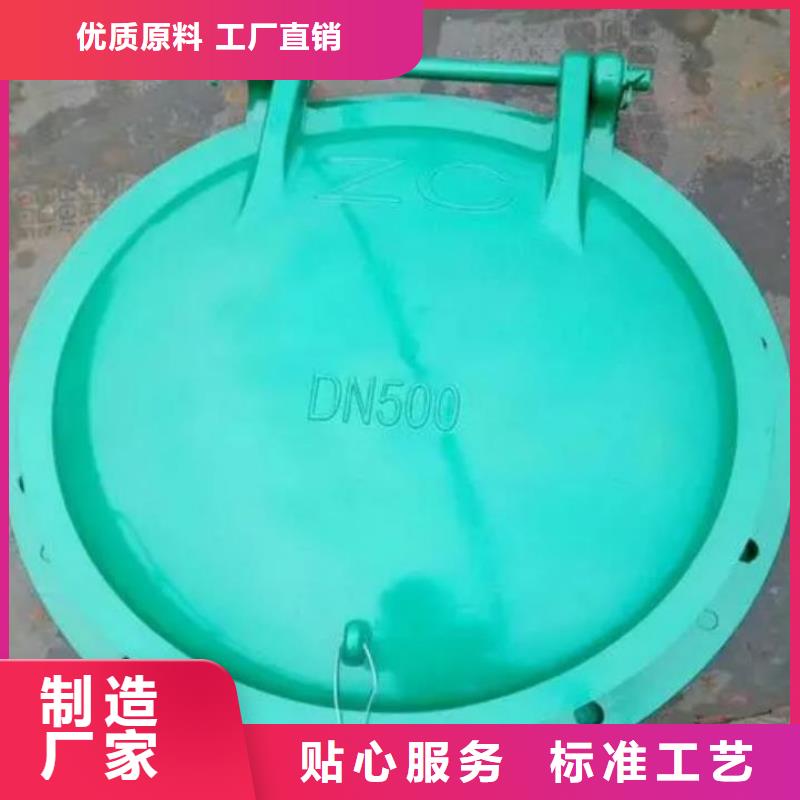 拍门,钢制闸门实体厂家支持定制