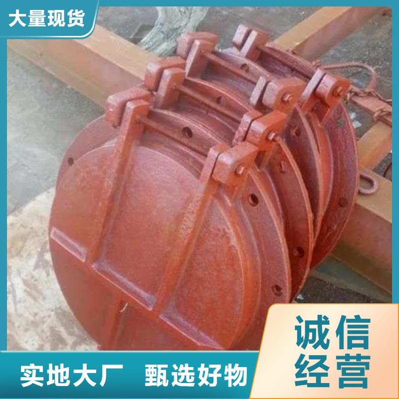 拍门【不锈钢闸门】高品质现货销售