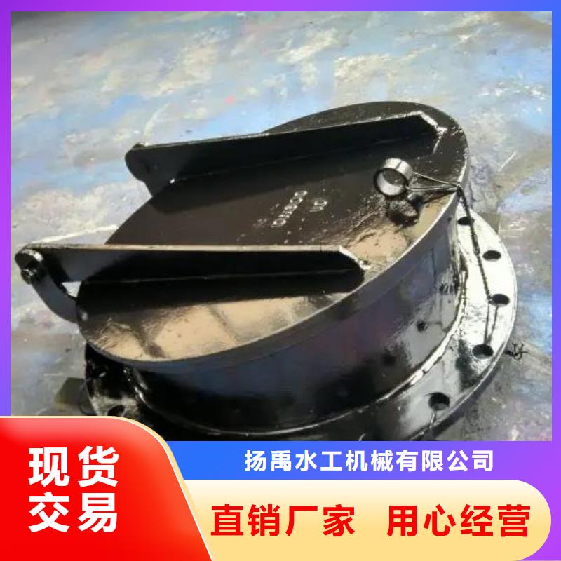 拍门_螺杆启闭机专注细节使用放心