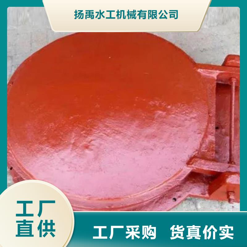 拍门【不锈钢闸门】高品质现货销售