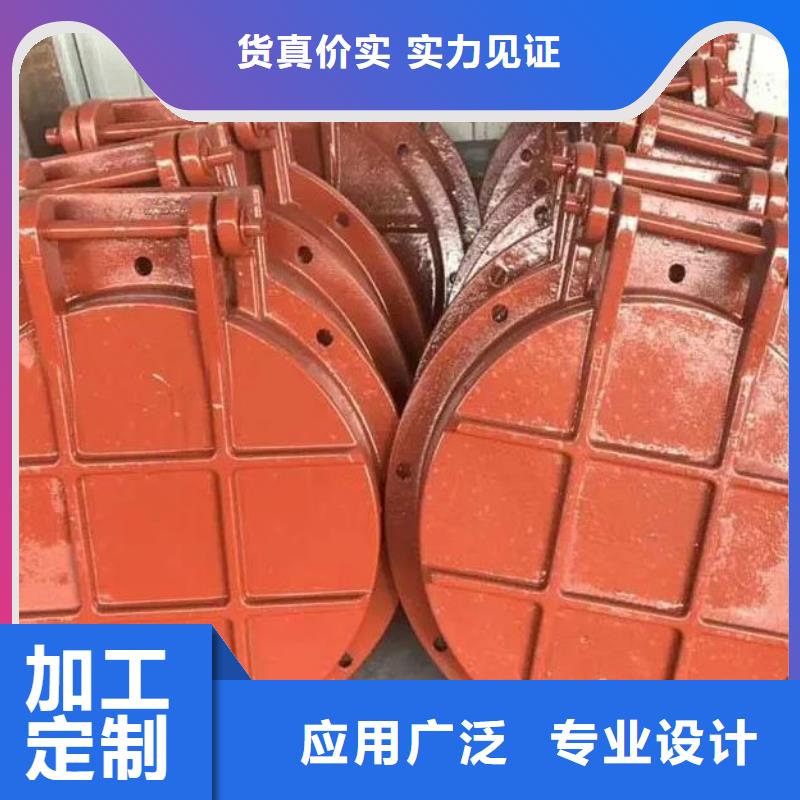 【拍门】钢制闸门诚信经营
