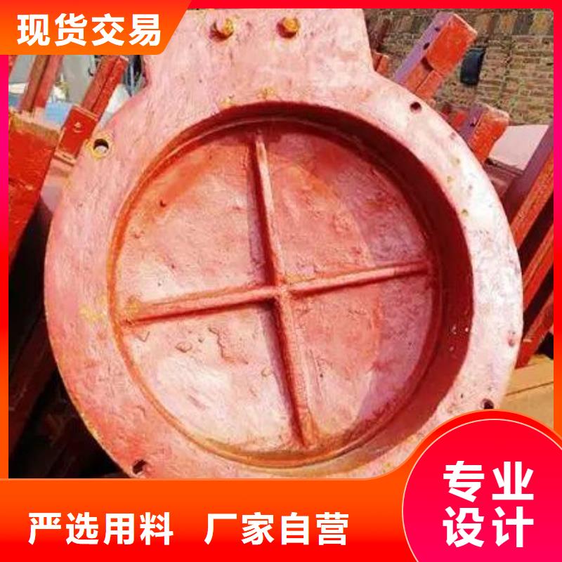 【拍门】螺杆启闭机厂家工艺先进