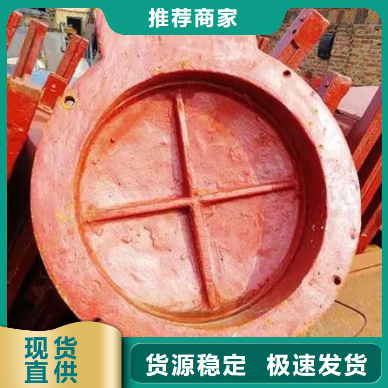 拍门铸铁闸门优选厂家