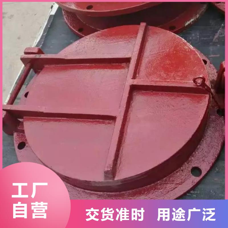 【拍门】钢制闸门诚信经营
