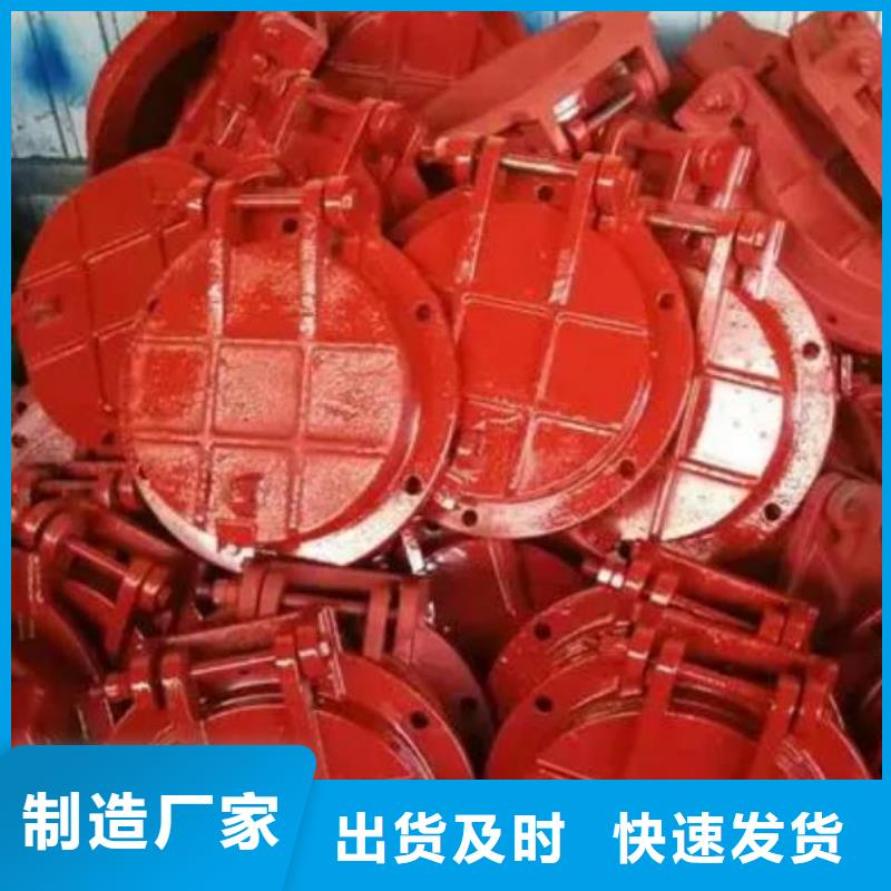拍门卷扬启闭机厂家厂家直发